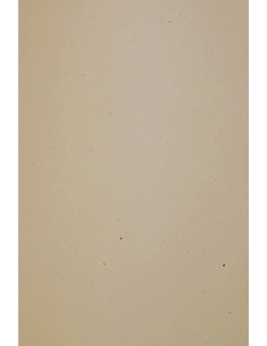 Papier ekologiczny ozdobny Flora 350g Tabacco pak. 10A4 Papier ekologiczny ozdobny Flora 350g Tabacco pak. 10A4