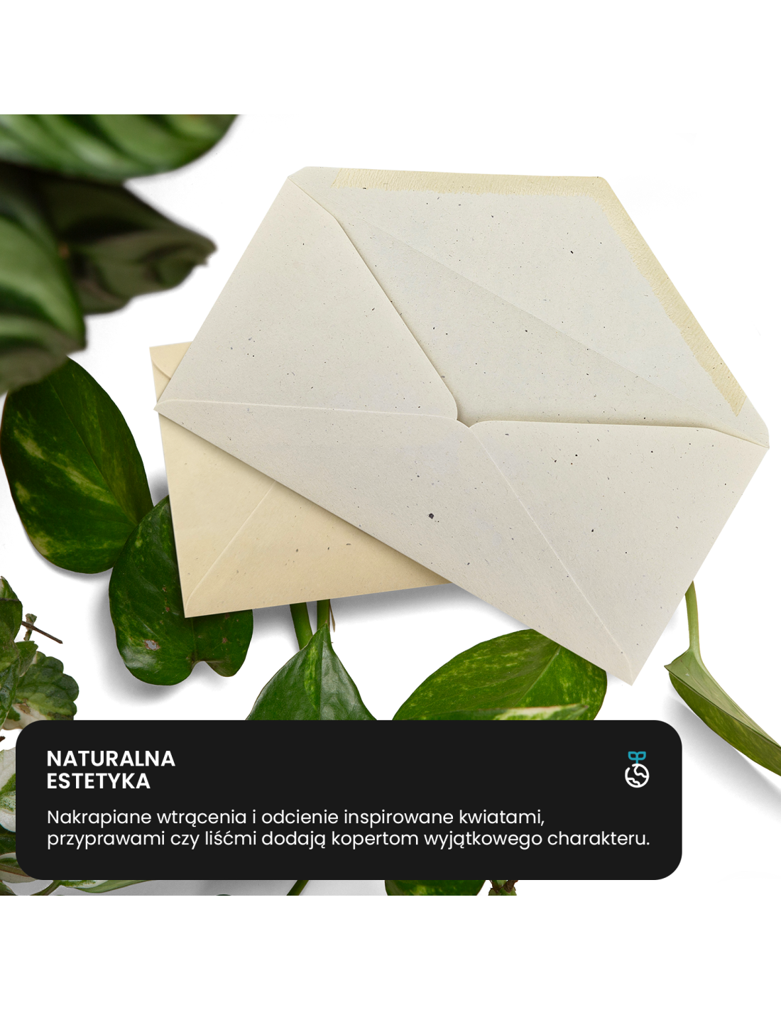 Koperta ozdobna gładka ekologiczna B6 NK Flora Anice kość słoniowa 130g