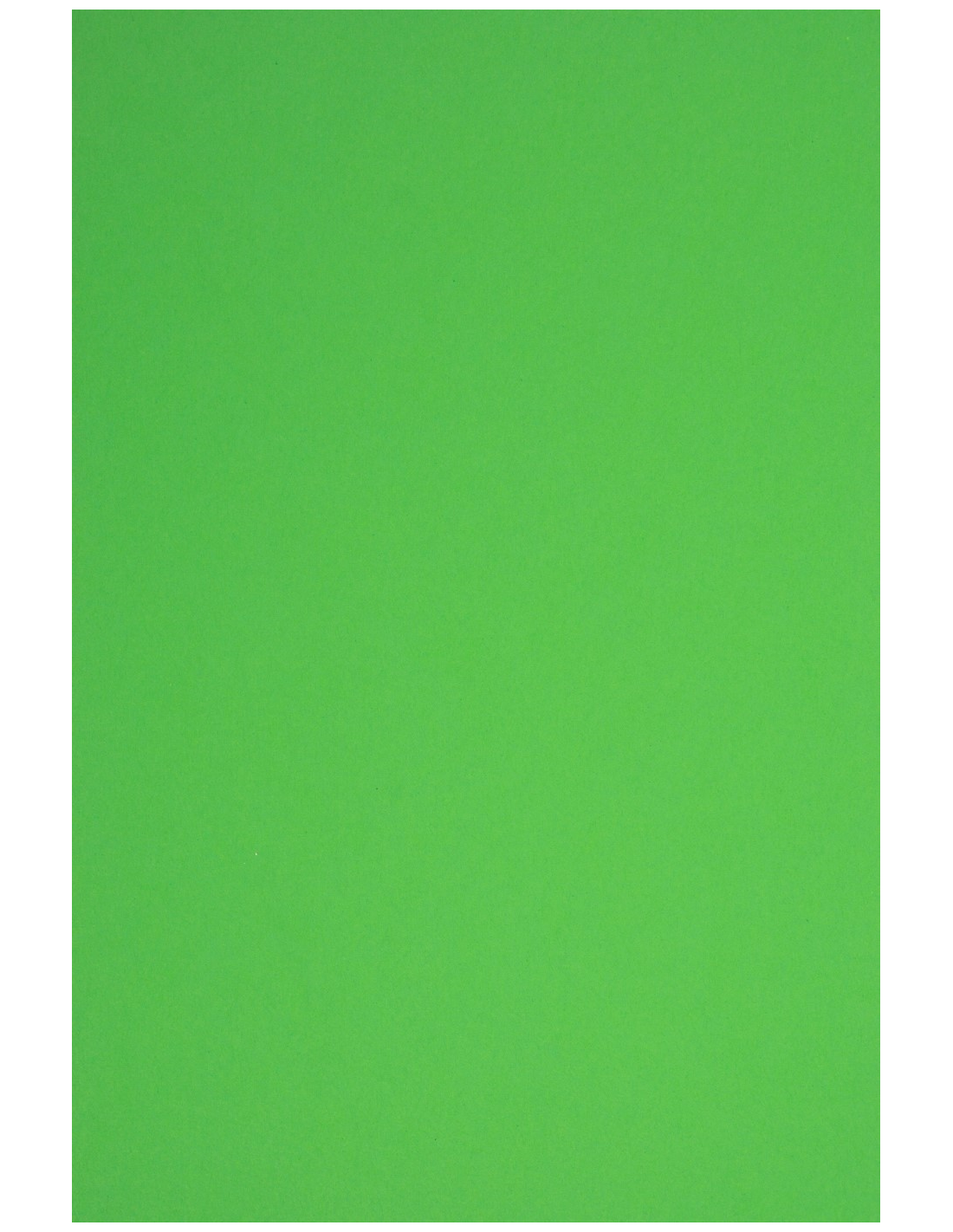 Papier Rainbow 160g R78 ciemny zielony 45x64 10ark. Papier Rainbow 160g R78 ciemny zielony 45x64 10ark.
