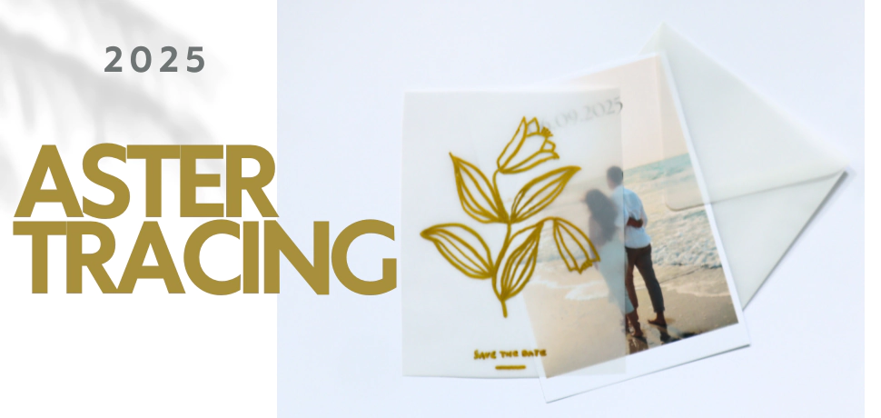 Nowa kolekcja - Aster Tracing