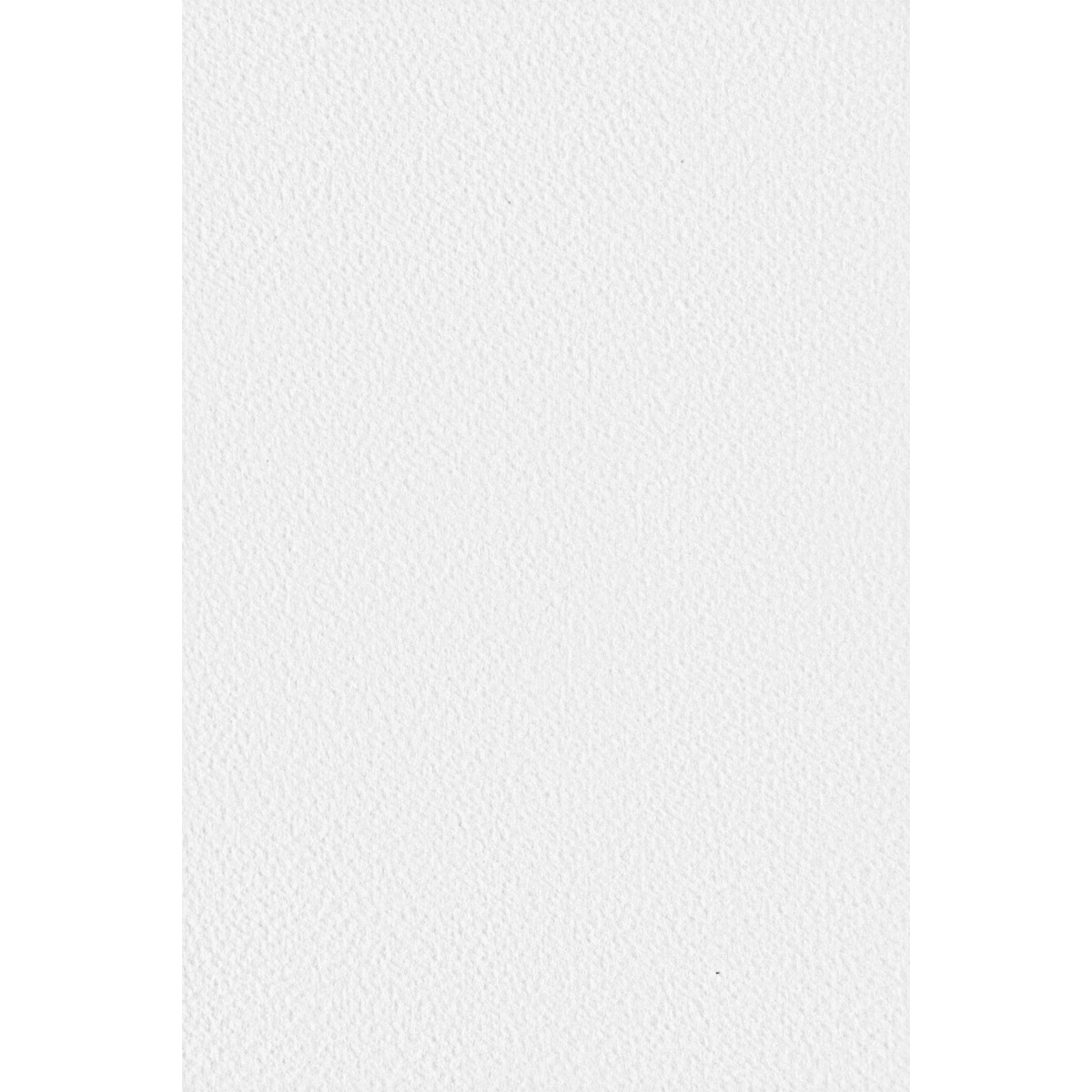 Papier ozdobny fakturowany kolorowy Tintoretto 300g Gesso biały pak. 10A4