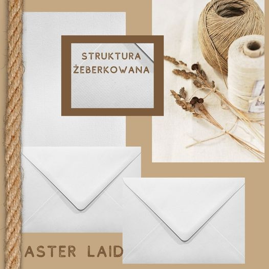 Dla poszukujących oryginalnych rozwiązań mamy papier i koperty fakturowane z kolekcji Aster Laid